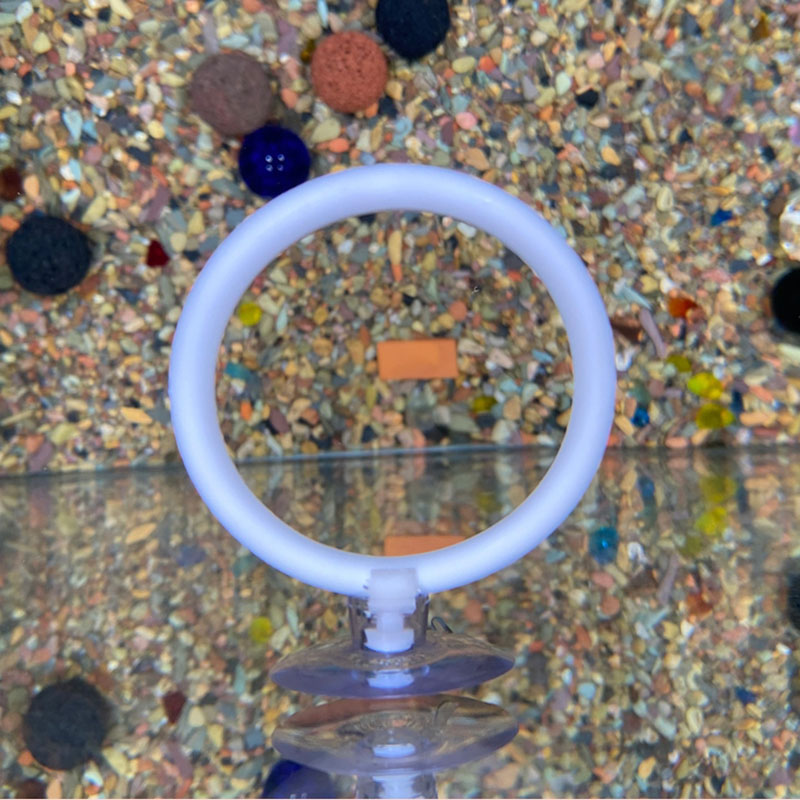 1pcs Plastic Fish Tank Aquariu - огляд і ціна Gymnastic Ring