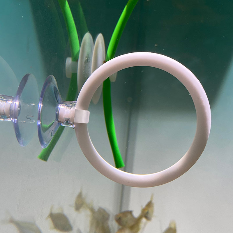 1pcs Plastic Fish Tank Aquariu - огляд і ціна Gymnastic Ring